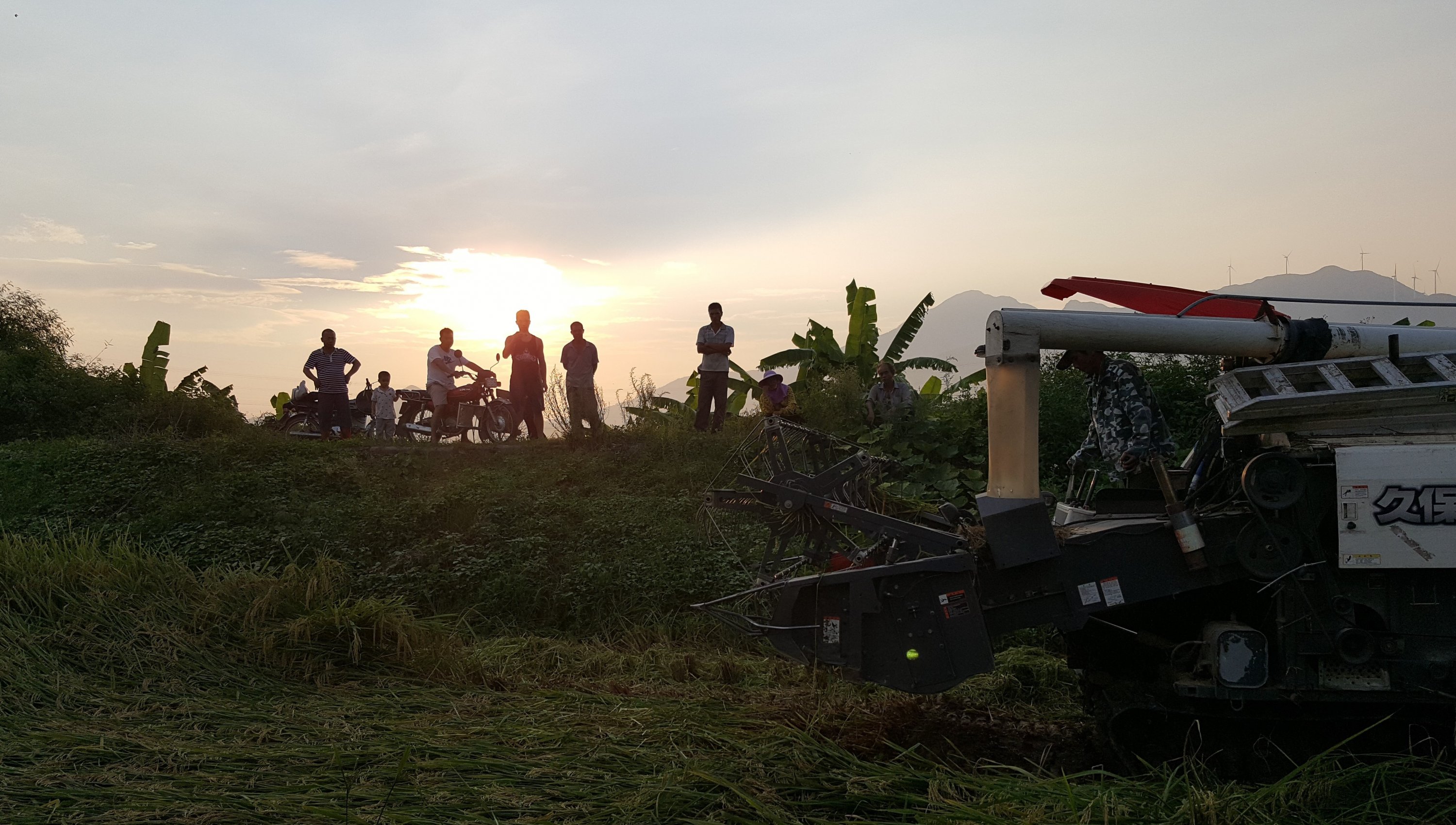 20180717_183610.jpg 20180717_183610.jpg