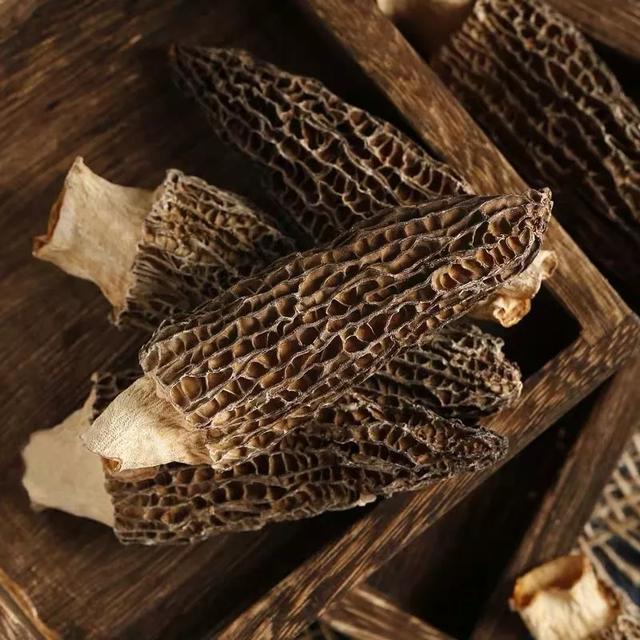 22e2acb64ccf0daeb43a9c7f392e4aa5.jpeg 22e2acb64ccf0daeb43a9c7f392e4aa5.jpeg