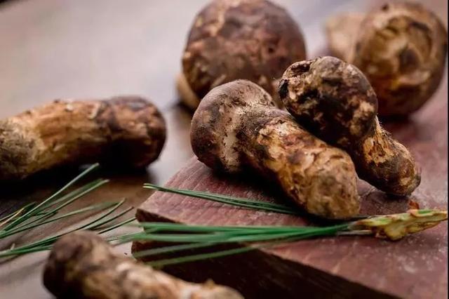 22e2acb64ccf0daeb43a9c7f392e4aa5.jpeg 22e2acb64ccf0daeb43a9c7f392e4aa5.jpeg