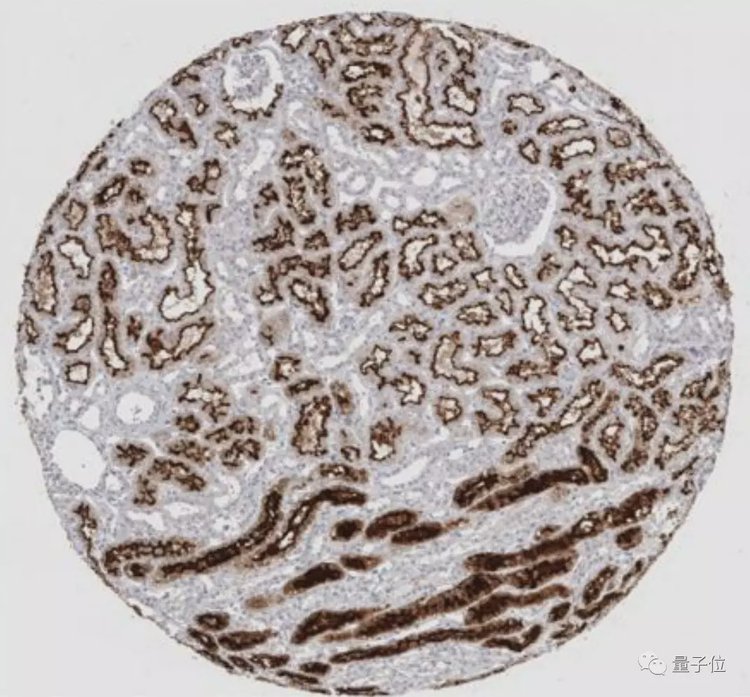 bb054b498a64306c48cc1175b8b88321.jpeg bb054b498a64306c48cc1175b8b88321.jpeg