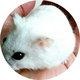 3436e86e69f6cc4778c6870023d4c703.png 3436e86e69f6cc4778c6870023d4c703.png