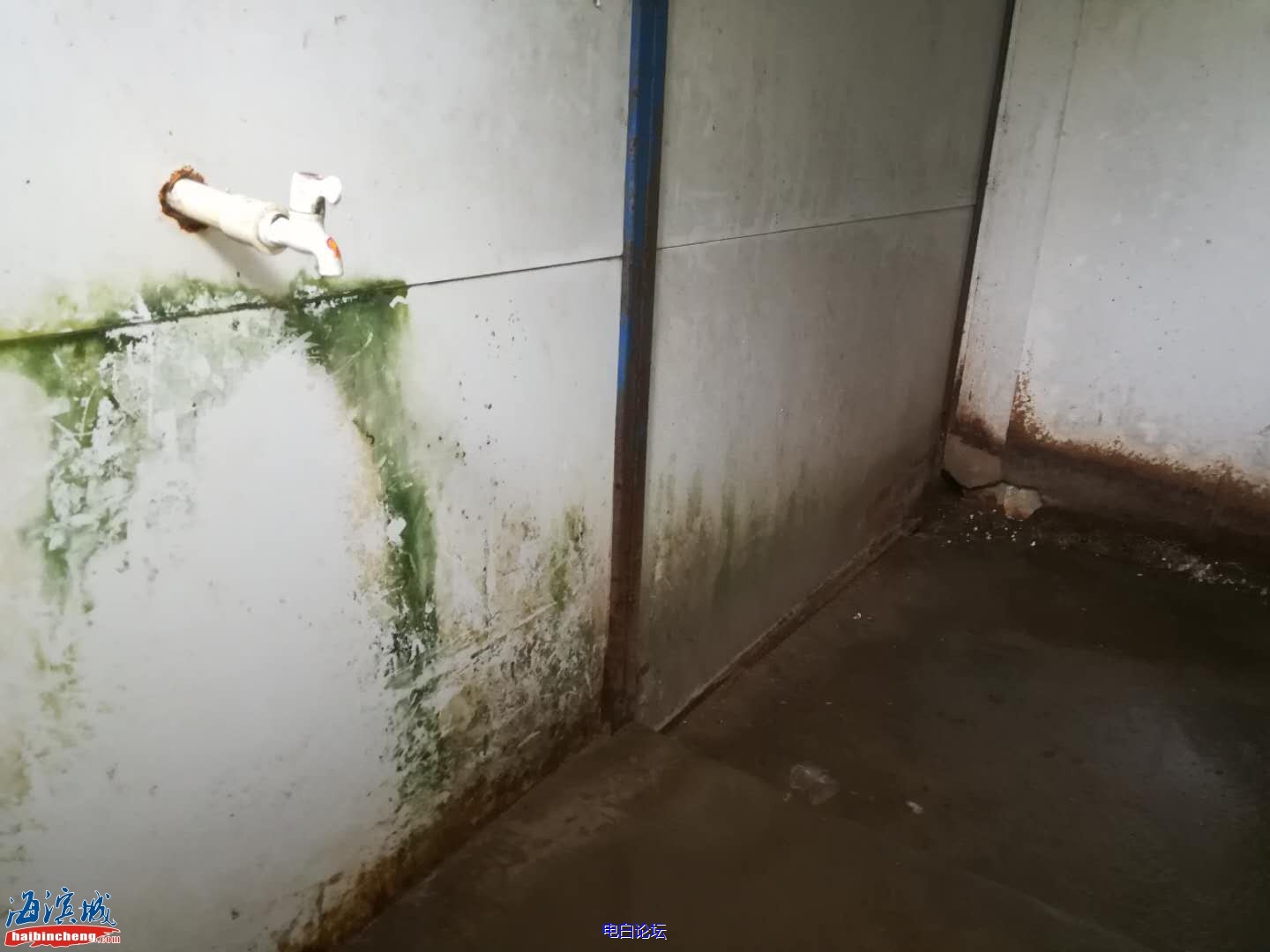 51a580abdebcbbd02fb17c0089ee5b84.jpeg 51a580abdebcbbd02fb17c0089ee5b84.jpeg