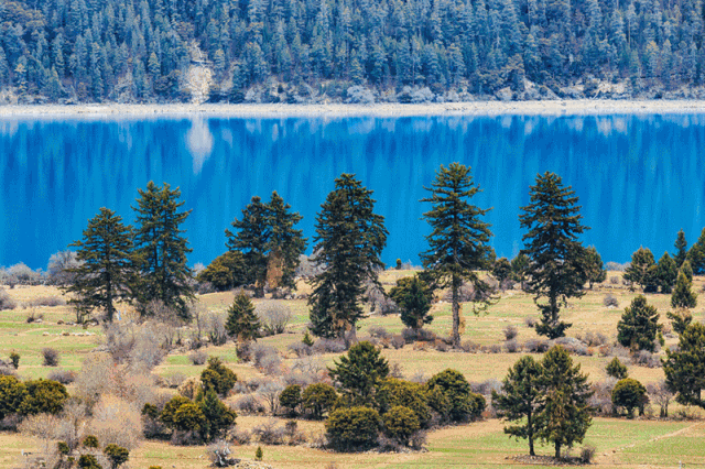 94c5e70490a1588f381ff6fb6189582d.gif 94c5e70490a1588f381ff6fb6189582d.gif