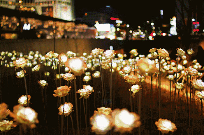 b549e1ffd4fcb60db8820d3b8e3d63af.gif b549e1ffd4fcb60db8820d3b8e3d63af.gif