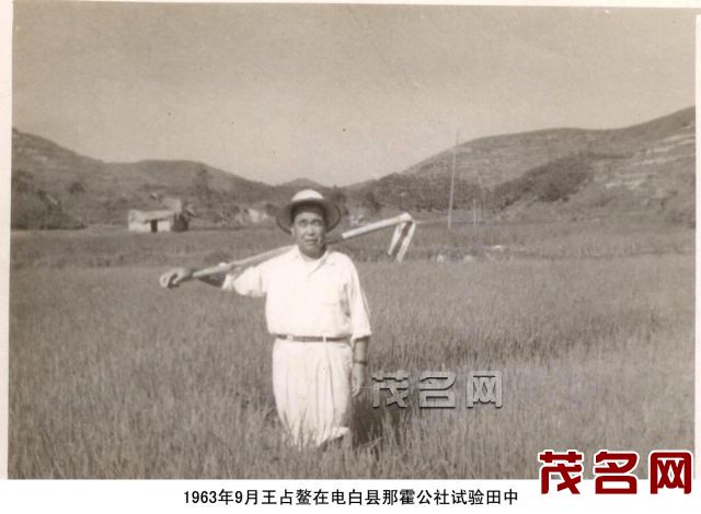 b8d7c26f6b0c5feef6dae187e47acb35.jpeg b8d7c26f6b0c5feef6dae187e47acb35.jpeg