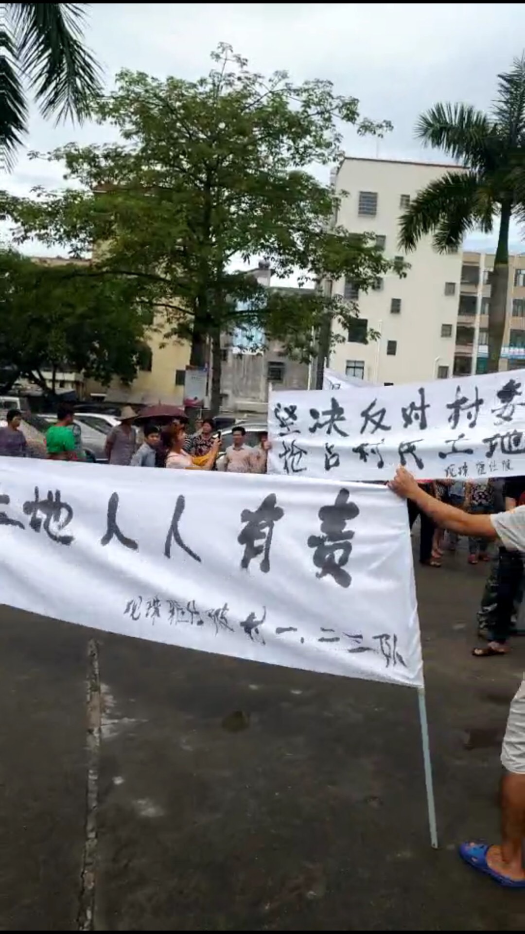 DB5E11B9-A1EC-419A-9C8E-E93FDA9F8496-512-0000008762E1F89A_tmp.jpg DB5E11B9-A1EC-419A-9C8E-E93FDA9F8496-512-0000008762E1F89A_tmp.jpg