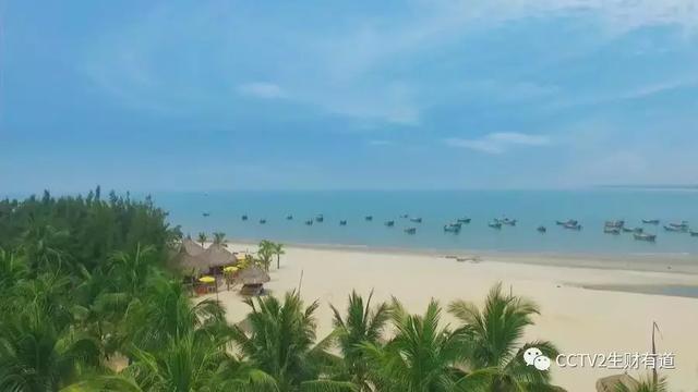 df7dd71b579da2f4a94d5638ba7324bd.jpeg df7dd71b579da2f4a94d5638ba7324bd.jpeg