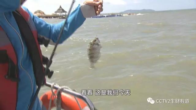 df7dd71b579da2f4a94d5638ba7324bd.jpeg df7dd71b579da2f4a94d5638ba7324bd.jpeg