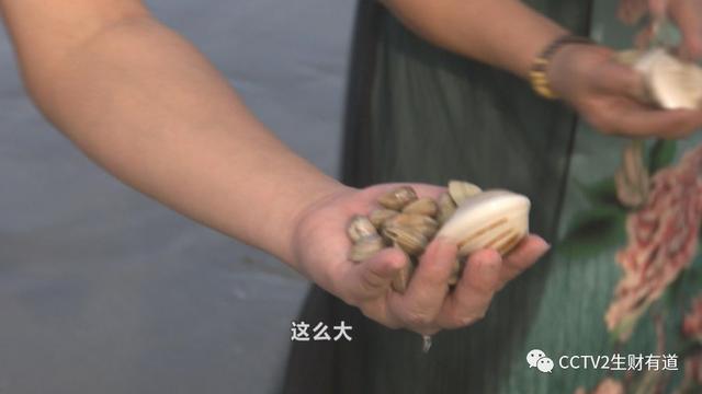 df7dd71b579da2f4a94d5638ba7324bd.jpeg df7dd71b579da2f4a94d5638ba7324bd.jpeg