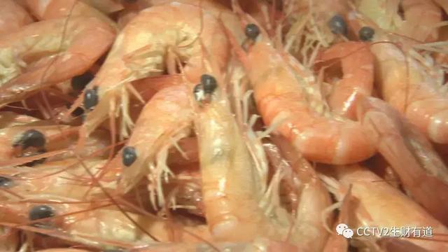 df7dd71b579da2f4a94d5638ba7324bd.jpeg df7dd71b579da2f4a94d5638ba7324bd.jpeg