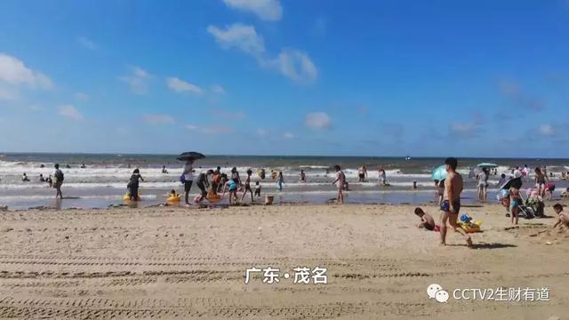 df7dd71b579da2f4a94d5638ba7324bd.jpeg df7dd71b579da2f4a94d5638ba7324bd.jpeg