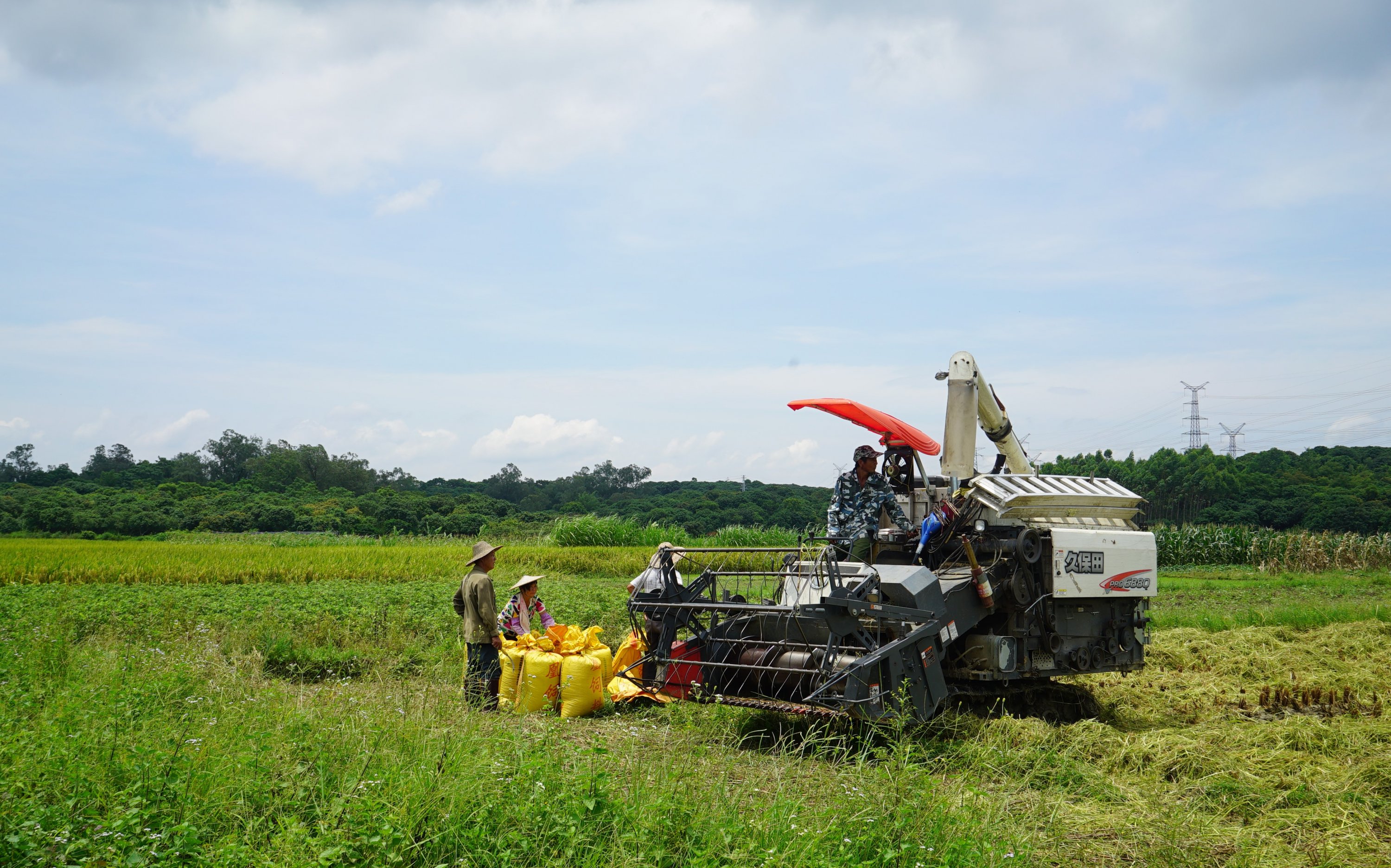 DSC07224.jpg DSC07224.jpg