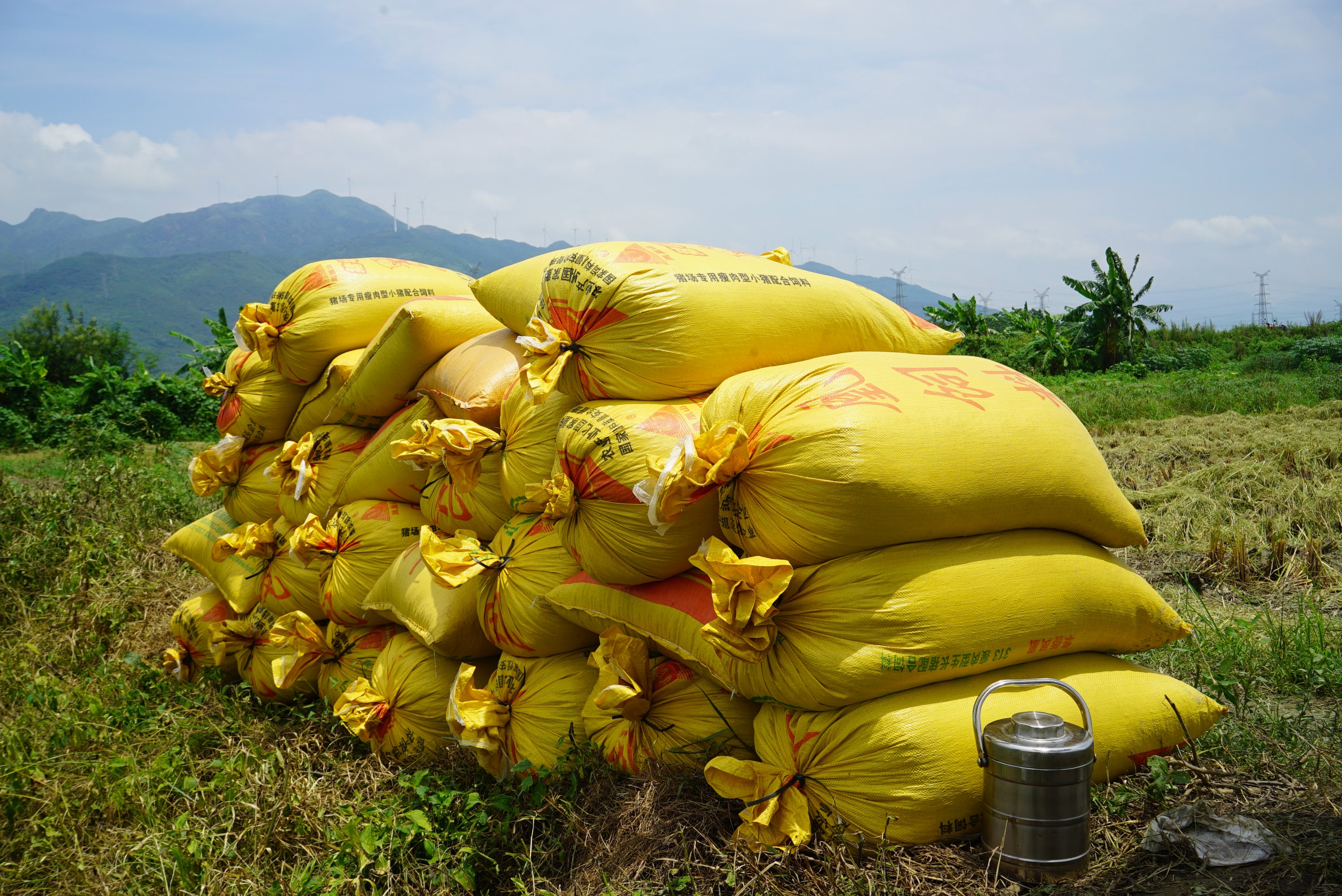 DSC07239.JPG DSC07239.JPG