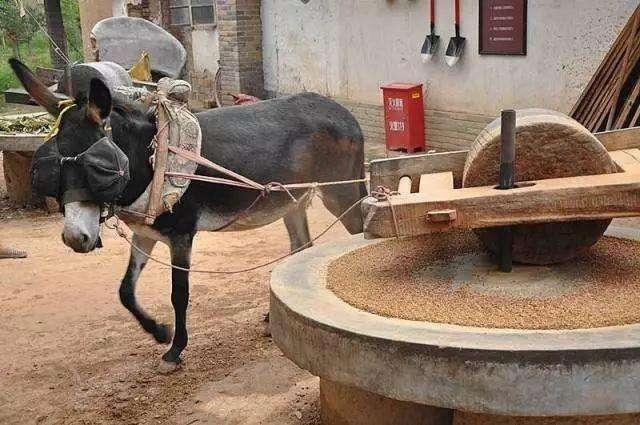 f16eaf3f6b988f69c2830c3dd1b8048b.jpeg f16eaf3f6b988f69c2830c3dd1b8048b.jpeg