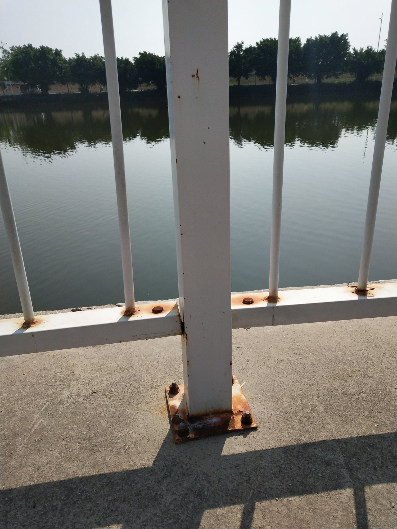 IMG_20180203_111129.jpg IMG_20180203_111129.jpg