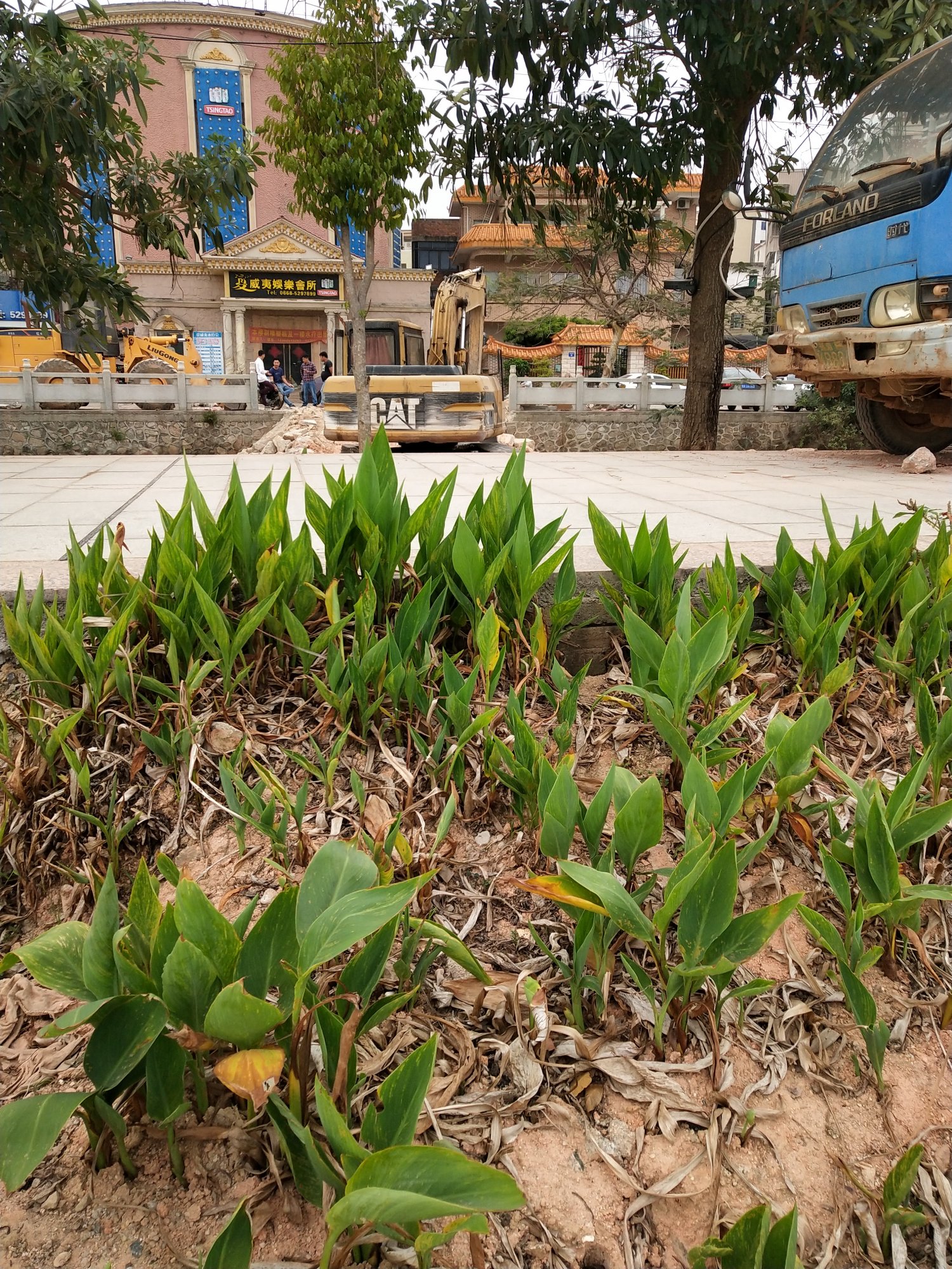 IMG_20180412_092318.jpg IMG_20180412_092318.jpg