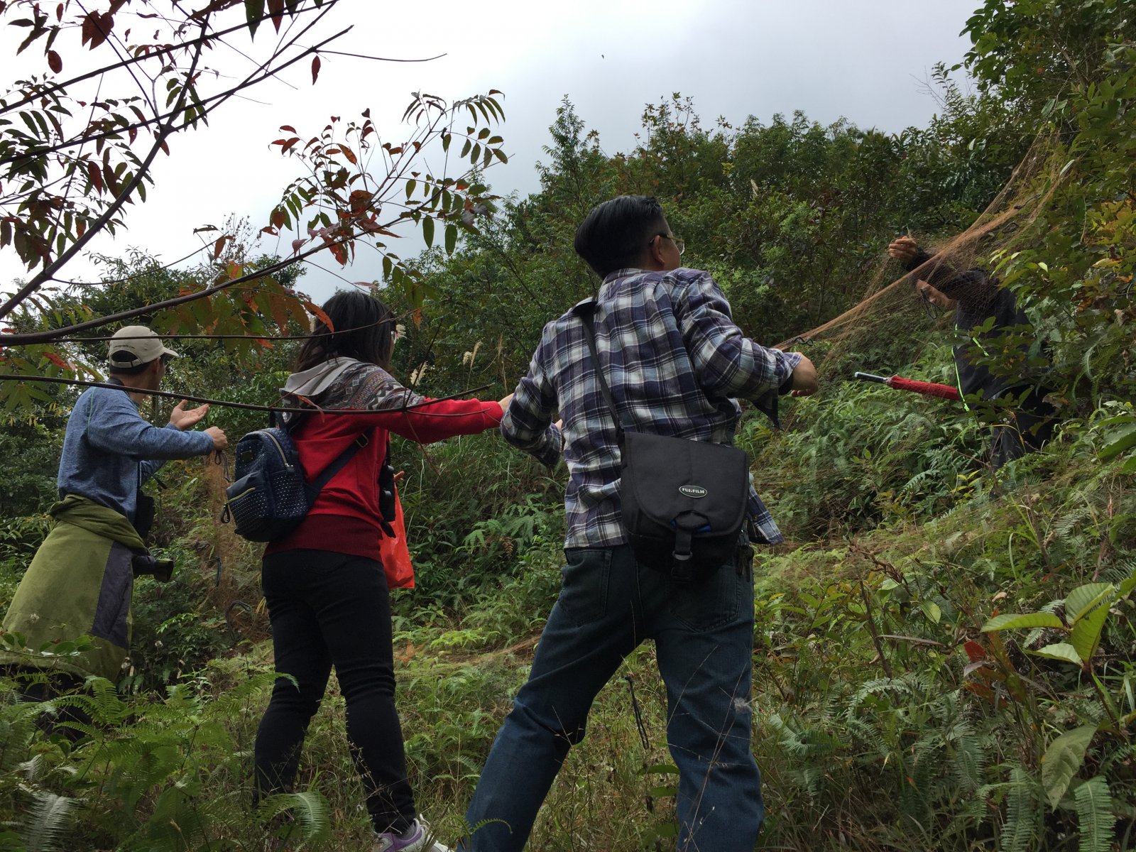 IMG_8898.JPG IMG_8898.JPG