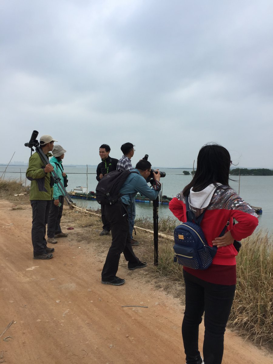 IMG_8905.JPG IMG_8905.JPG