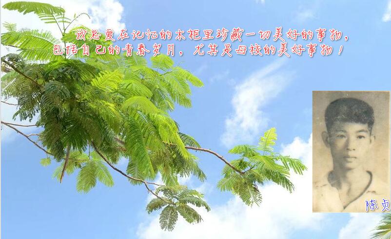 QQ截图20170518084919.jpg QQ截图20170518084919.jpg