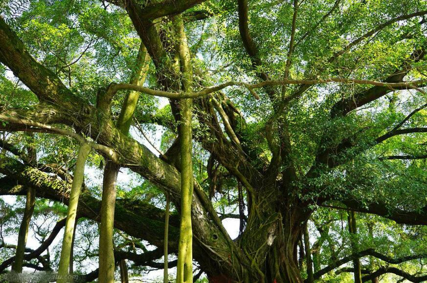 QQ截图20180421182826.jpg898.jpg QQ截图20180421182826.jpg898.jpg