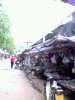 IMG0090A.jpg