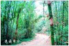 DSC00960B.jpg