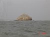 调整大小 DSC02108.JPG