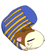 U54P55T4D49711F51DT20050407143300.gif