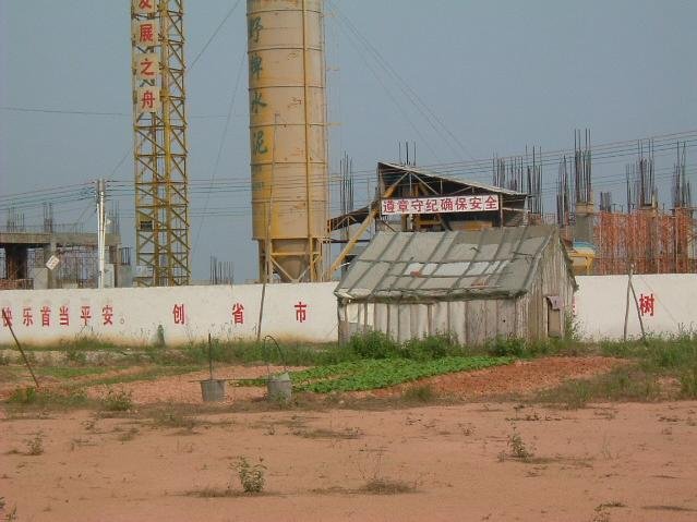 23.JPG