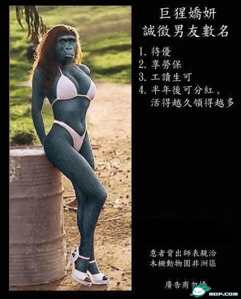 59.jpg