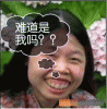 xin_08050409093070370515.gif