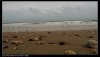 nEO_IMG_summer 136.jpg