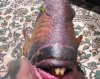 双鱼坐性感的嘴唇1.jpg