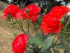DSCF1544.JPG