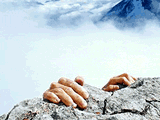 286479.gif