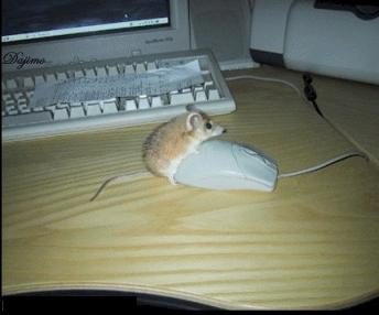 22_10997.gif