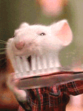 EC46CD620A0573C3D50B67761393EEF3.GIF