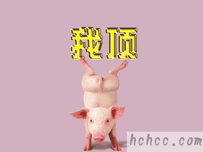 76597B5FBDE0DADACD005203C230CF89.GIF