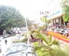 DSC02196.jpg