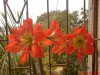 DSC00264.JPG