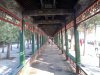 照片1139.jpg