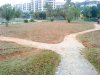 DSC05132.jpg