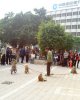DSC05476.jpg