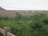 DSCN0010.JPG