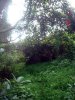 DSC02092.JPG