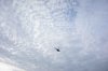 DSC02146.JPG