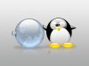 Linux_penguin_wallpaper05.jpg