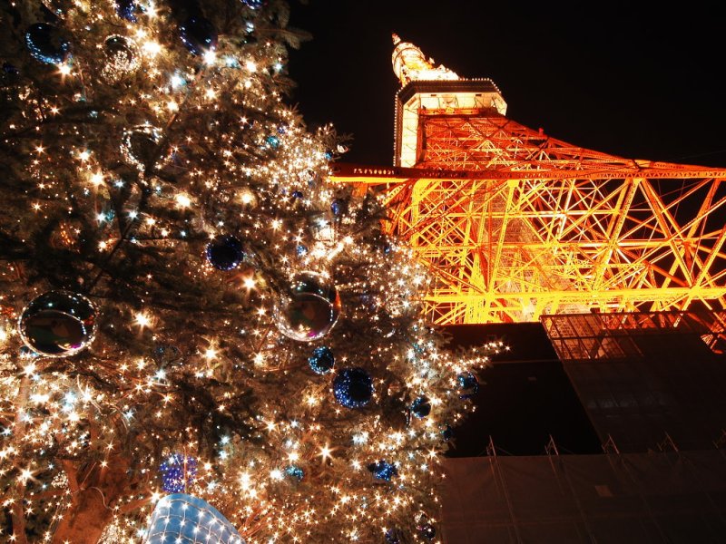 XMASTREE019.jpg
