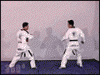 tkd1.gif