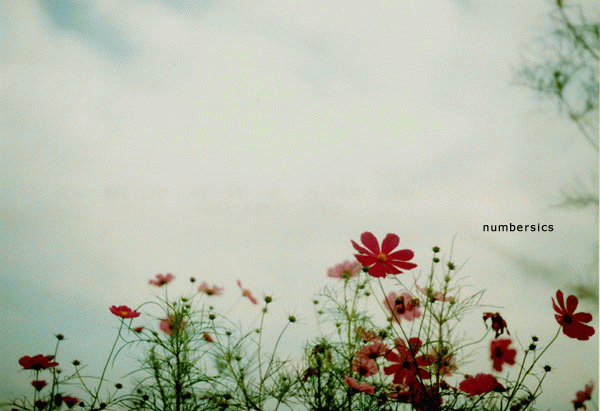 200519185746465.gif